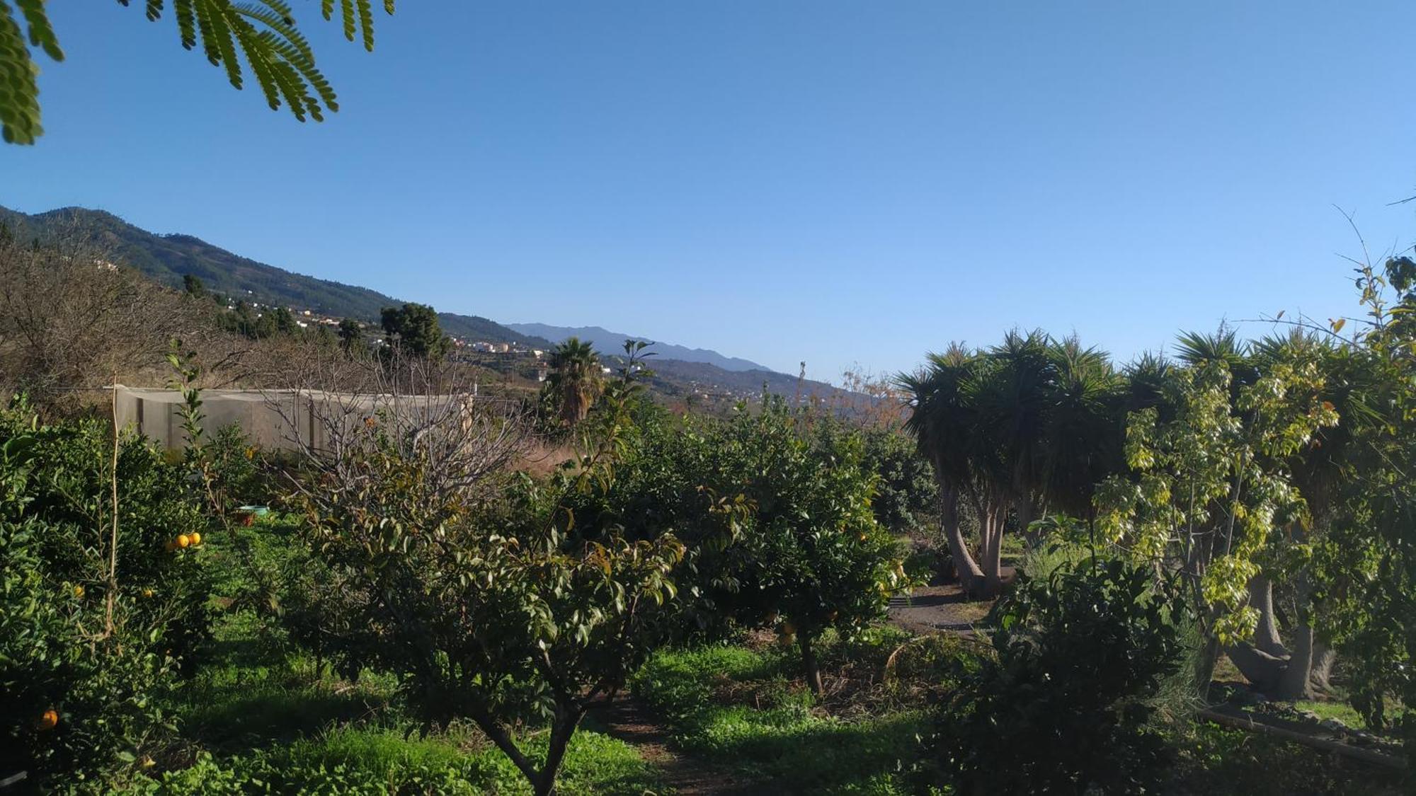 Finca Panorama Tijarafe Exteriör bild