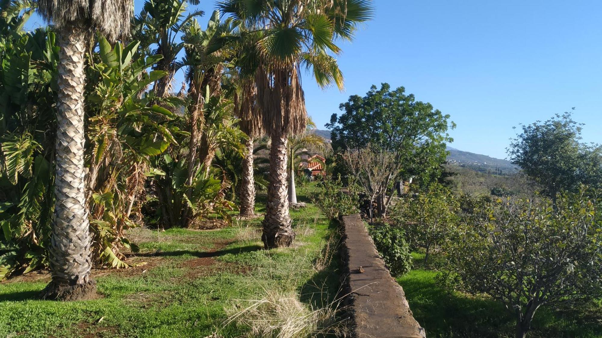 Finca Panorama Tijarafe Exteriör bild